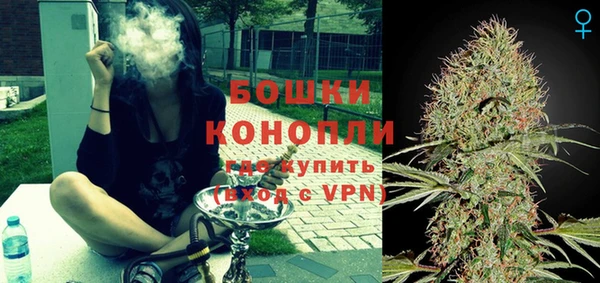 гидра Абаза