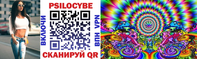 kraken ССЫЛКА  где купить   Кириллов  Галлюциногенные грибы мухоморы 